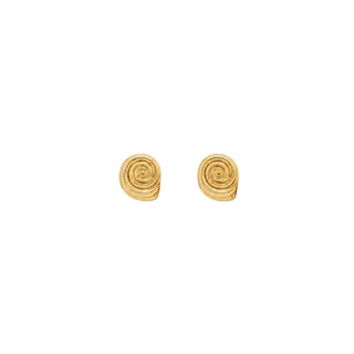 Baby Spiral Shell