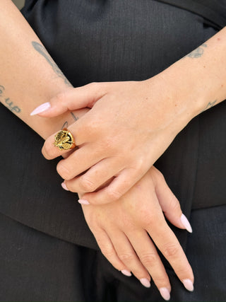 Chevalier Queen Bee